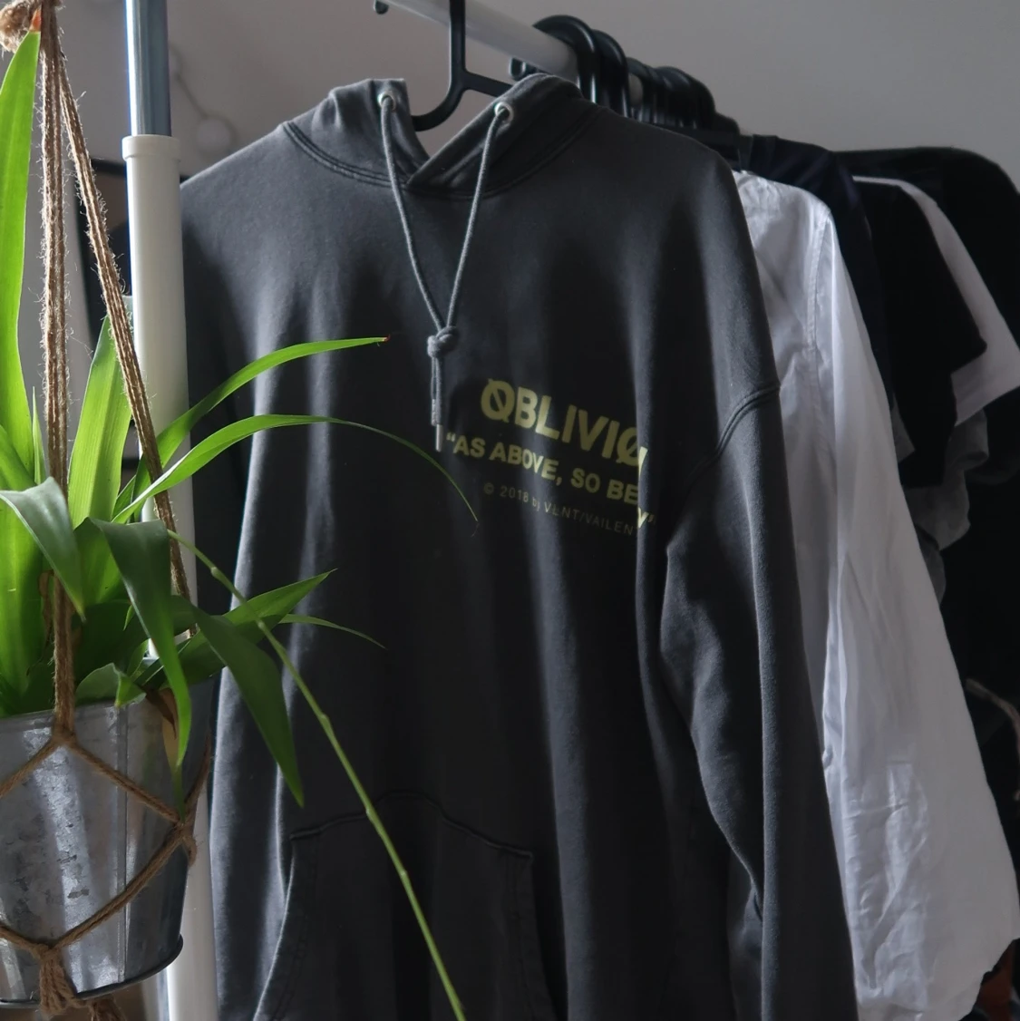 Hoddie