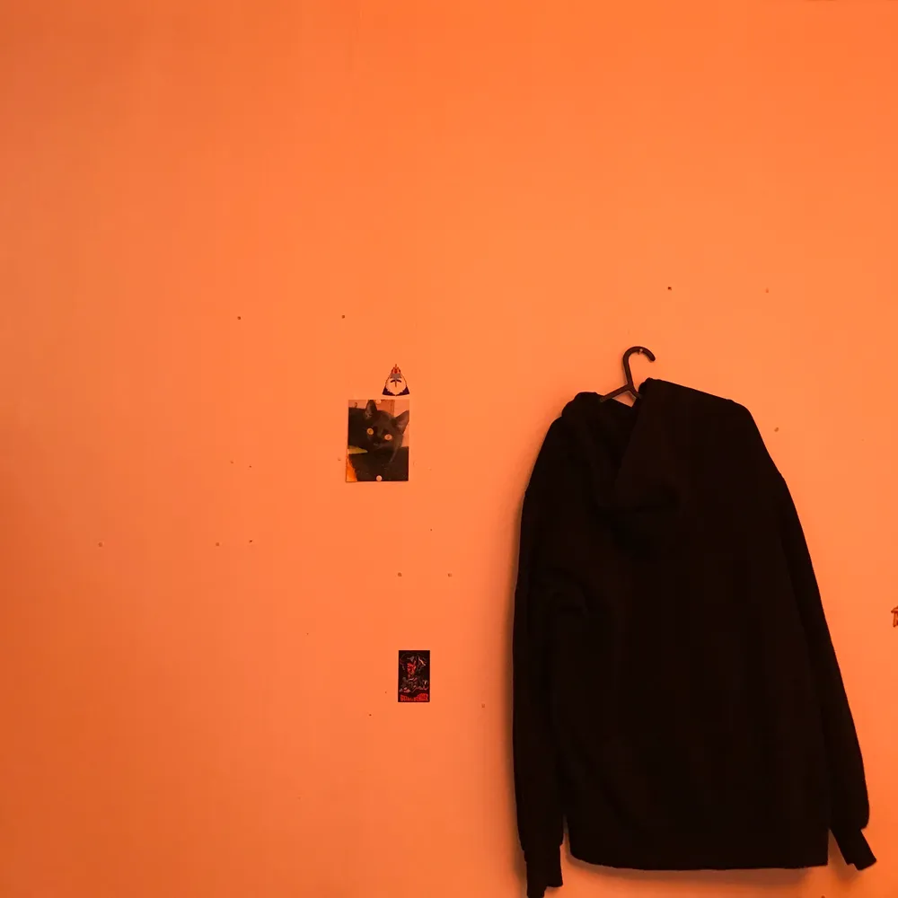 En svart hoodie med en broderad ros på bröstet. Använd ett antal gånger och säljer nu pga flytt. Köpt på H&M i storlek XL.. Hoodies.