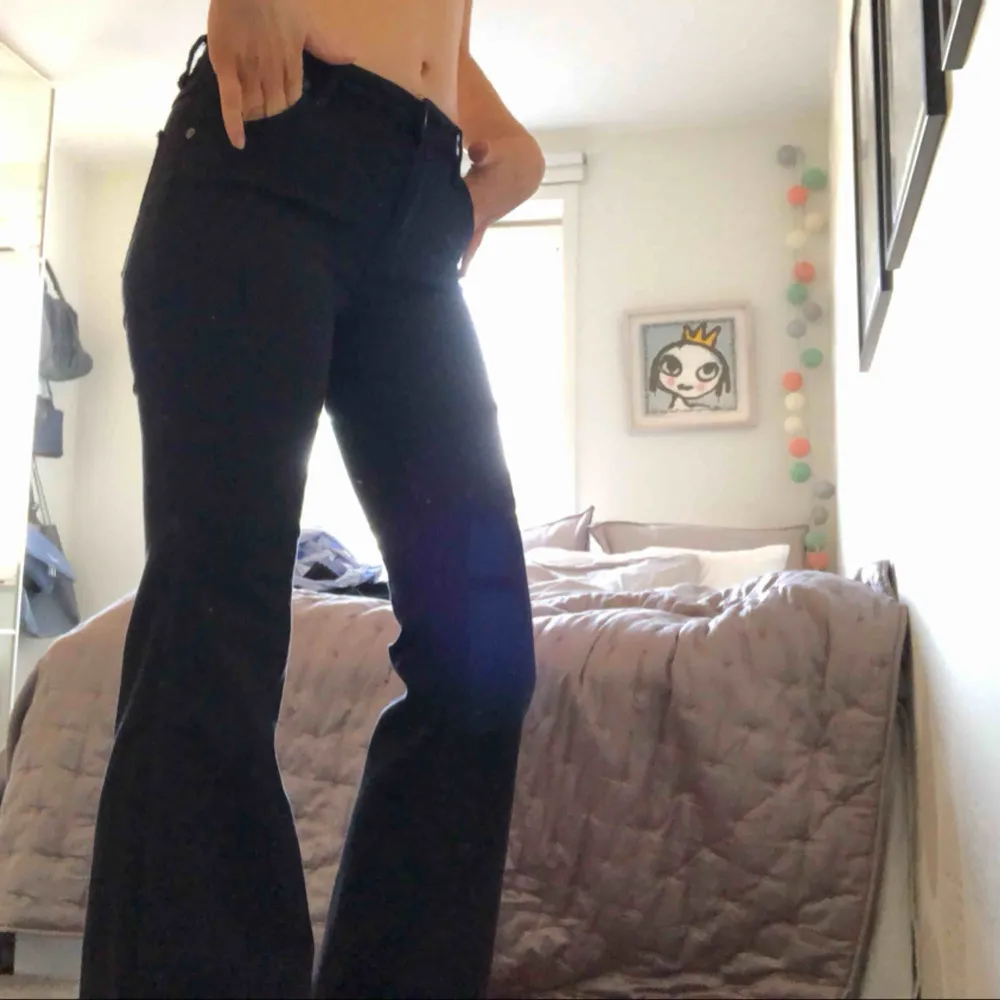 Flare jeans från Neuw. Storlek 24 längd 32. Jeans & Byxor.