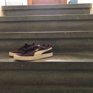  - Puma suede skor! Säljer pga använder aldrig ❤️ väldigt bra skick!