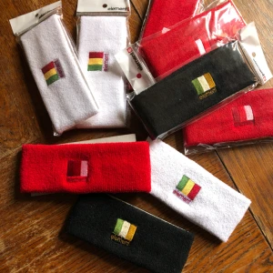  - Element pannband. Helt nya. 50 SEK / styck. Kan hämtas i Uppsala eller skickas mot frakt. Köp alla 9 för 300 SEK 