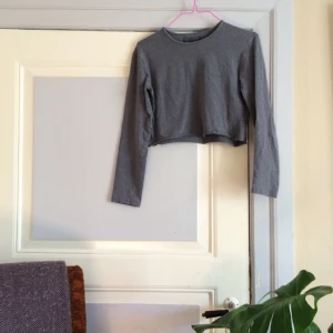 - ▪️Långärmad croptop i fin grå nyans▪️

• Storlek: Märkt M, något tajt 
• Märke: Do Rose
• Material: 95% bomull 5% lyrca 
• Skick: Knappt använd, fint skick!
• Övrigt: Inga skavanker 
• Frakt: 26kr