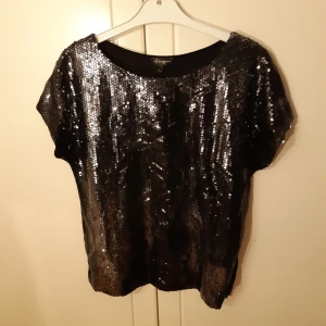 Paljett-tshirt - Paljettröja i gott skick! Paljetter på framsidan som skimrar i silver. Svart på baksidan. Priset är exklusive frakt, kan både mötas upp i Göteborg och skicka. Obs katt finns i hemmet!