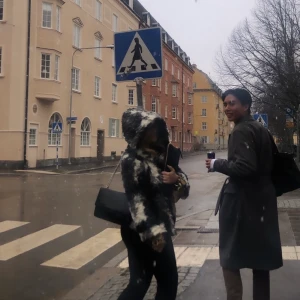 Pälsjacka - SÄNGT PRIS 200kr! Supersnygg pälsjacka med stor luva! Sparsamt använd. Lite insydd i ryggen så den ska sitta bättre på mig, men går lätt att sprätta upp☺️ Frakt tillkommer