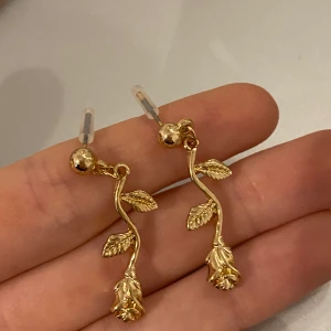 Örhängen - Helt oanvända örhängen! Köparen står för frakten som kostar 11kr!🌹🌹