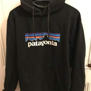 Patagonia hoodie strl M passar L