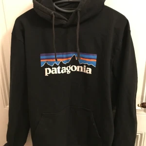 Patagonia Hoodie - Patagonia hoodie strl M passar L