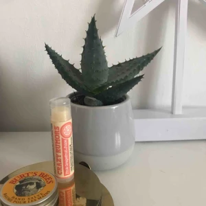  - Två läppbalsam, det ena är från Burts Bees, det andra från Crazy rumors med smaken pink grapefruit. 