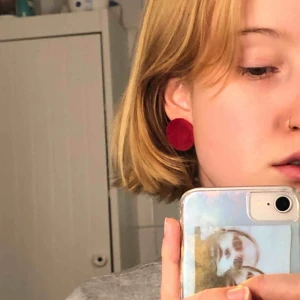  - Örhängen i sammet, knappt använda, köpta på Gina Tricot. Frakt ingår i priset!❣️❣️