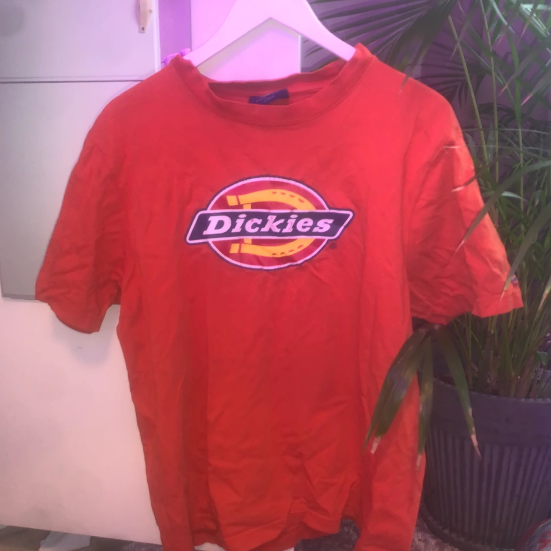 Dickies t-shirt 