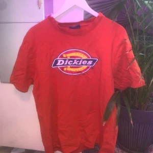 Dickies t-shirt  - Snygg Dickies t-shirt i färgen orange. Den är L i herrstorlek så väldigt oversized. Lägg bud eller köp för 50kr!☺️ Köpare står för frakten👻 (som man kan se på bilden är märket ganska slitet)