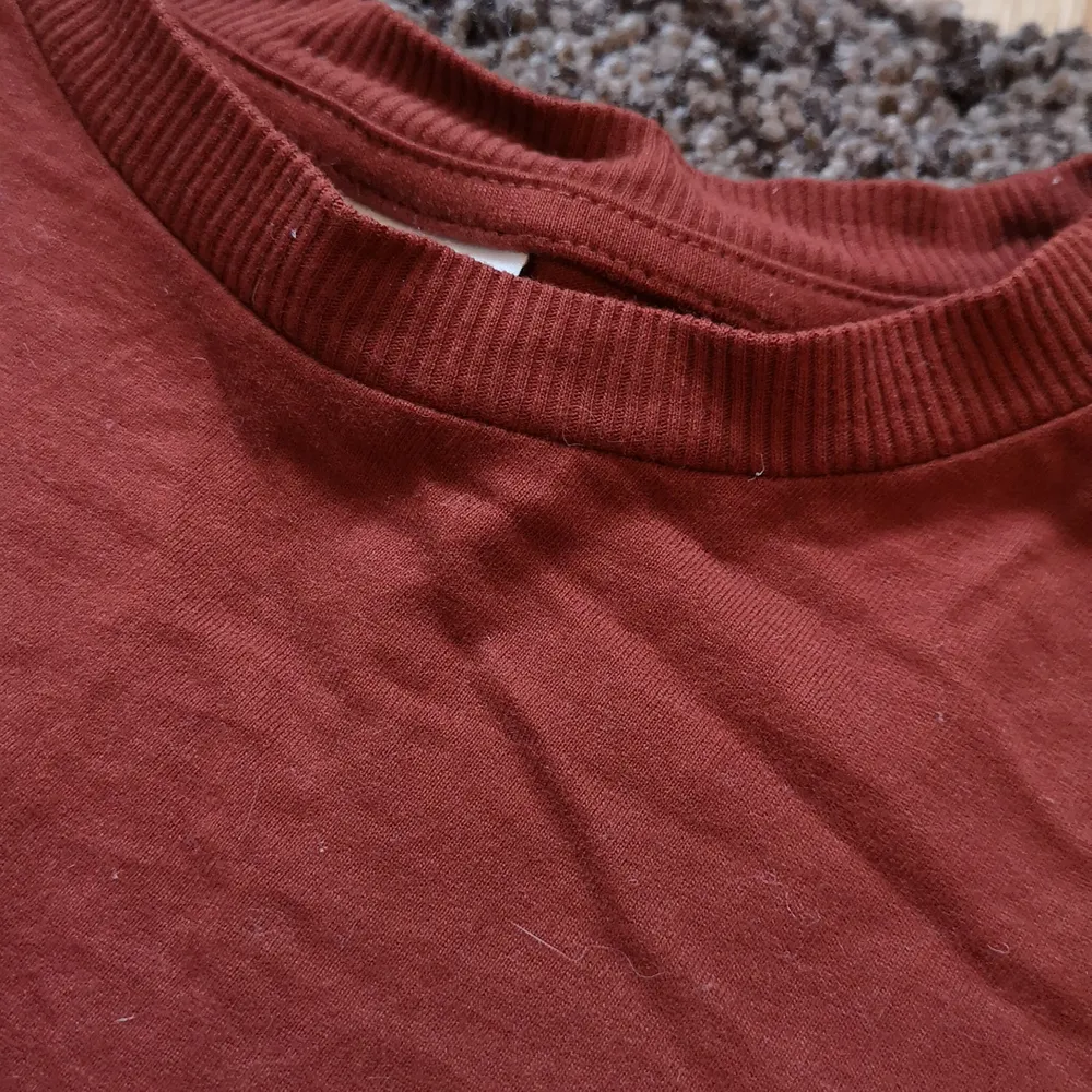 Vinröd/kopparrör färg med en kort längd. Varm och fin färg. . T-shirts.