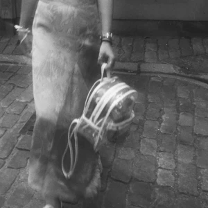  - Mini genomskinlig ryggsäck köpt på HM i somras🦋 Bara använd några få gånger! Kan mötas upp i Sthlm ✨⚡️