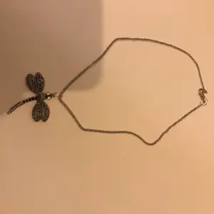 Ett silvrigt halsband med ett trollslända:)