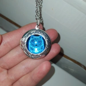 Medaljong med spökbild varg - Mässing. Kedjelängd: 45cm Cabochon Diameter: 20mm. Frakt tillkommer på 11 kr. 