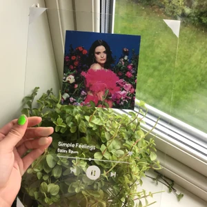 Glastavlor! - Jag har tänkt att producera dessa fina glastavlor! Kunden bestämmer bild/album omslag och låt/text🦋✌🏼🤩 frakten ingår ej