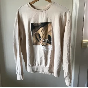 Ariana Grande från hm  - En jätte fin Ariana Grande sweatshirt från h&m i ny sick. Rätt tunt material men skön!! Storlek M