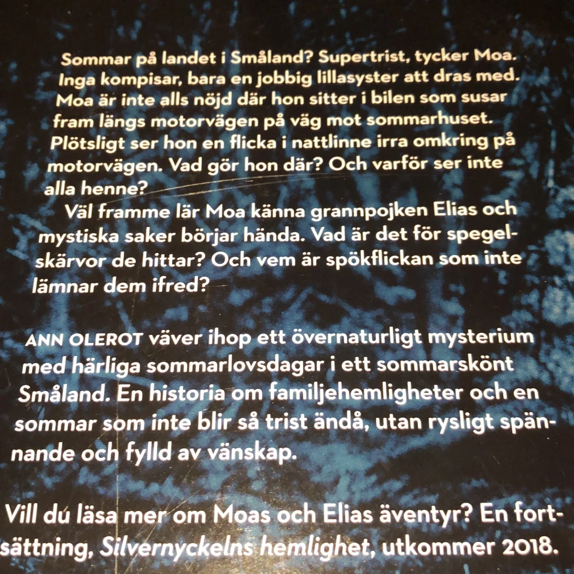 SPÖKFLICKANS HEMLIGHET - 90