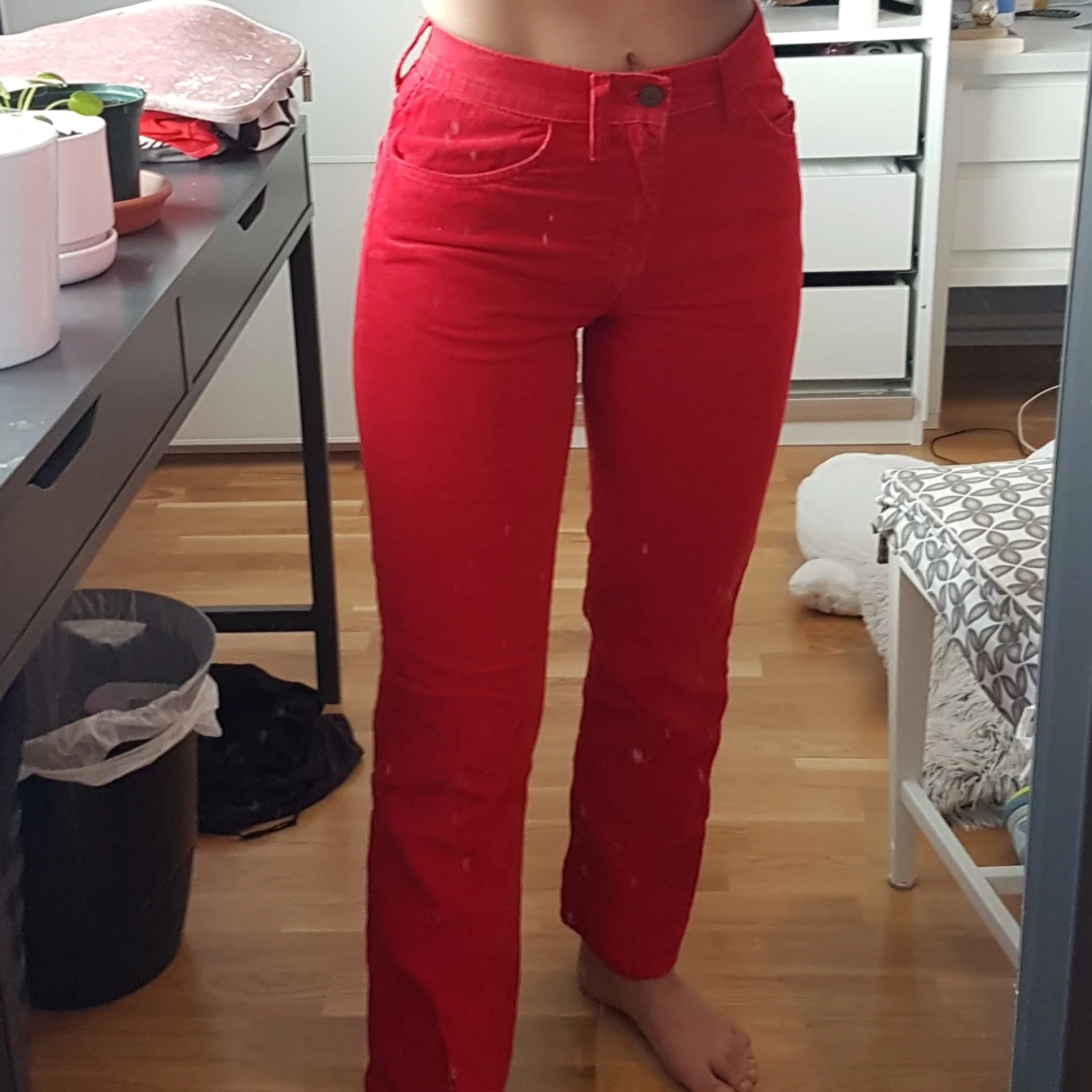 Levis manchester stl 25