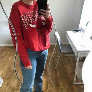  - Chicago bulls sweatshirt 