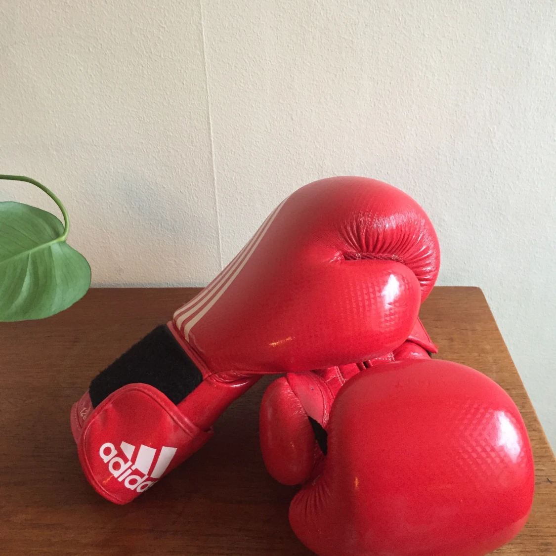 Adidas boxningshandskar