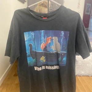 Disney t-shirt - Säljer en Disney inspirerad t-shirt från Zara i mycket fint skick. Köparen står för frakten.
