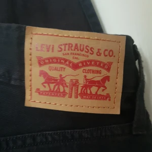  - Hängselbyxor från Levis, säljes för att jag redan har flera. Sitter fint lite oversize på en S. Fint skick