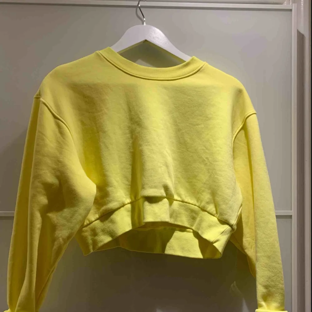Säljer denna gula croppade sweatshirten från Weekday. Säljer på grund av att jag aldrig använder denna. Den är också oanvänd! Frakt tillkommer. Tröjor & Koftor.