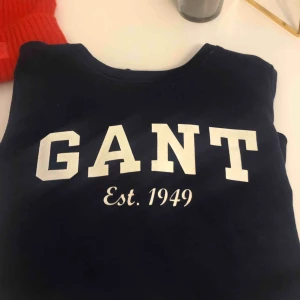  - En gant sweatshirt i nyskick