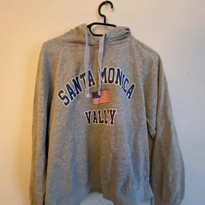 Grå hoodie  - En grå hoodie från Gina tricot i storlek L men sitter som en S. Hyfsat använd men ingenting som syns på plagget. 
