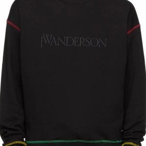JW Anderson black sweatshirt - Säljer denna tröjan i storlek L eftersom en inte passade mig, helt oanvänd bara provad en gång. Den är ganska sällsynt och finns inte i Sverige. Kostar nypris mellan 2300-3000 beroende på frakt och tull