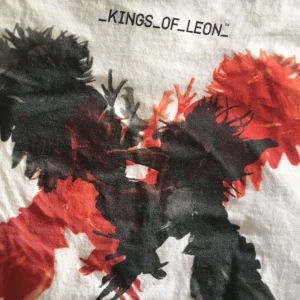  - Kings of Leon t-shirt 