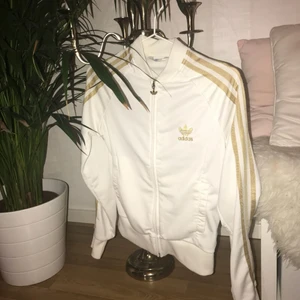  - ✨adidaströja med guld i strl 38 men skulle säga att den är mer xs/s i strl. Superfint skick ✨