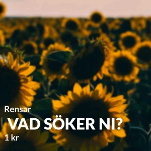  - Vad söker ni? Kanske har jag det ni är ute efter! Hör av er så ser vi om det går att lösa! 