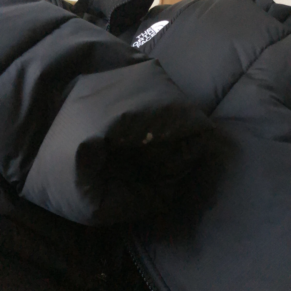 The northface vinterjacka  - 91