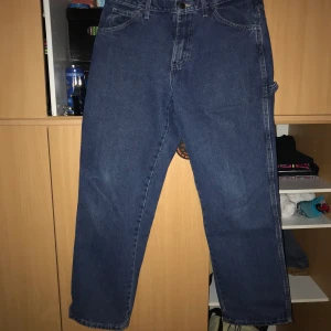 Dickies carpenter pant - Ett par svincoola Dickies snickarbyxor. Säljes för att dem inte kommer till användning, köptes second-hand i Malmö i somras. Kan mötas upp i Lund eller så delar vi på frakten:) Tar emot betalning via swish