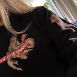 Sistine Chapel hoodie - Hoodie ifrån Zara i strl S, säljs för 100kr + frakt🤍