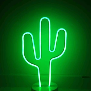  - En jättefin neonkaktus som är 30 cm hög. Köparen står för frakt kan även mötas upp i stockholm💘