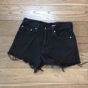  - Så fina mörkbruna fransiga jeansshorts från Levi’s köpta på Brandy Melville sommar 2018. För stora för mig tyvärr, 33 i midjan.