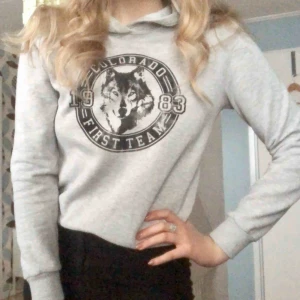 Hoodie från Gina Tricot - Hoodie från Gina Tricot använd 2-3 gånger. Supermjuk inuti! Köparen står för frakten 🥰