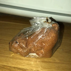 Ljus - Ett ljus format som en hund som tänds från hundens svans.