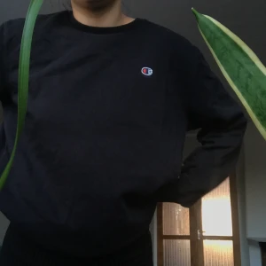 Champion sweatshirt - Champion sweatshirt, köpt på Tradera!