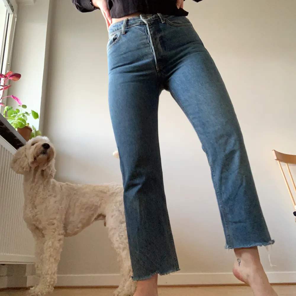 Jeans i perfekt färg och modell från HM i storlek 34. Mina bästa jeans som nu är lite små.... hunden ingår inte. Skickar/möts i malmö🦋. Jeans & Byxor.