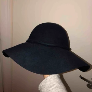  - En mörkblå vinterhat från Åhlens, endast testad.