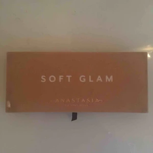  - Säljer min ABH pallet pga av att jag inte använder den, utsidan är mer smutsig än den faktiskt är använd, kan mötas upp i centrala Stockholm annars står köparen för frakt.