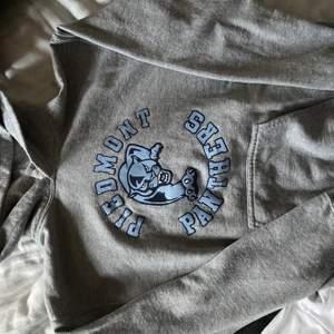 Ljusgrå jättefin hoodie med blått tryck, skriv för mer info!