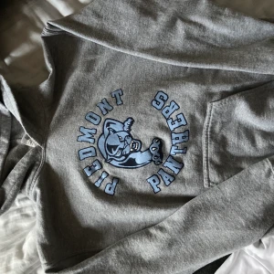 Grå hoodie - Ljusgrå jättefin hoodie med blått tryck, skriv för mer info!