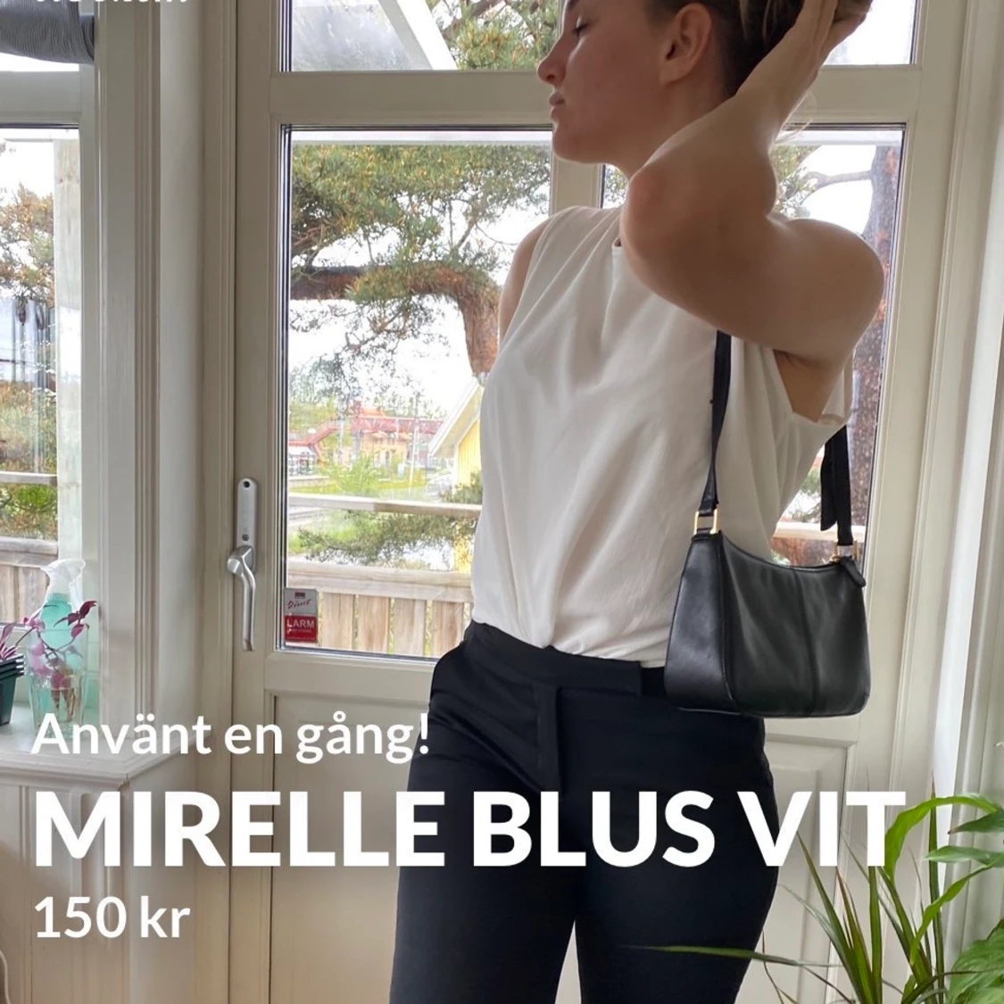 Mirelleblus 