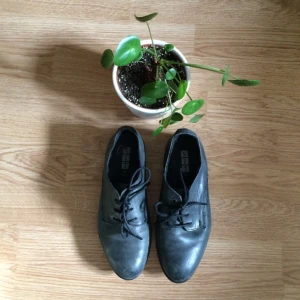  - 💼Riktigt stilfulla låga skor i fejkskinn💼

• Storlek: 36
• Märke: Din sko
• Material: Fejkskinn
• Skick: Köpta 2hand, något använda (för små för mig 😔)
• Övrigt: Vardagsslitage såsom veck
• Frakt: 53kr spårbart