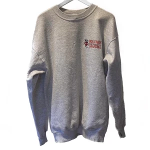 Vintage Champion sweater  - Grå vintage champion sweater! Säljes direkt för 600 bud från 450! 